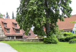 02 Moessingen (12)