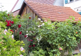 02 Moessingen (5)