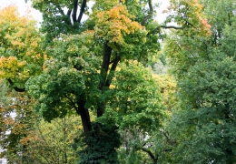 SchwaebGmuend-25