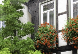 01-StdRgBad-Urach-19